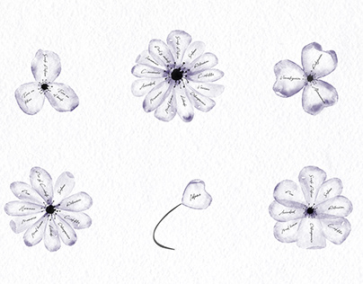 Ilustraciones Las flores de la menopausia