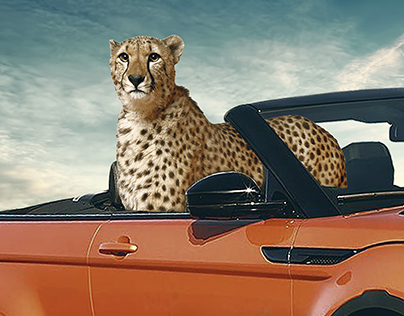 Range Rover - Ad