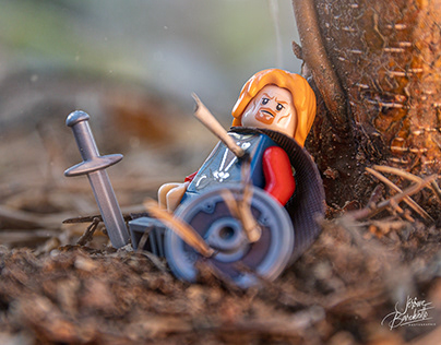 Lord of the Rings Lego Series