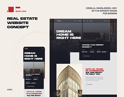 Bari Kini - Real Estate Website Concept