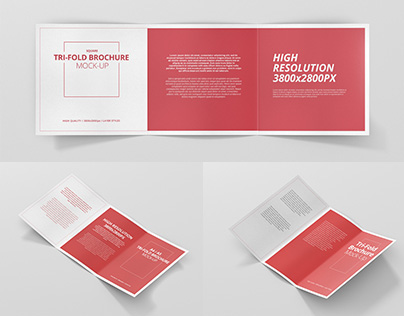 Tri-Fold Brochure Mock-Up Bundle