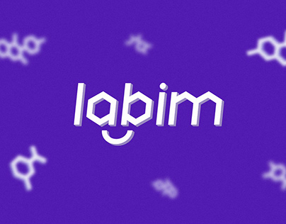 branding labim identity logo style