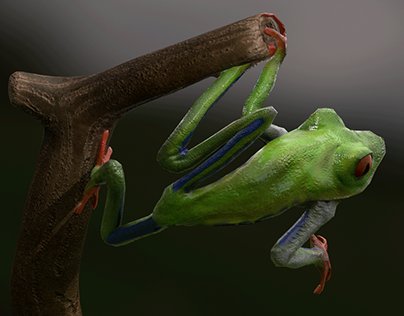 Tree Frog : The Hunt