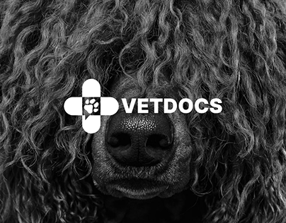 veterinary website design / дизайн ветеринарного сайта