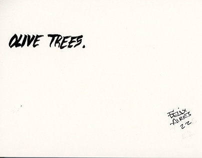 OLIVE TREES Sketchbook