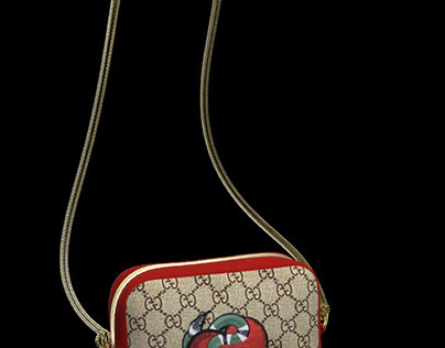 GUCCI Bag Projects  Photos, videos, logos, illustrations and branding on  Behance