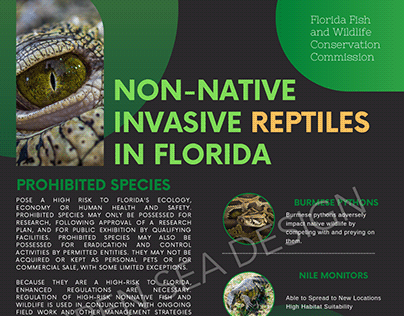 Graphic Design InfoGraphic FWC Florida Reptiles