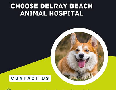 Choose Delray Beach Animal Hospital