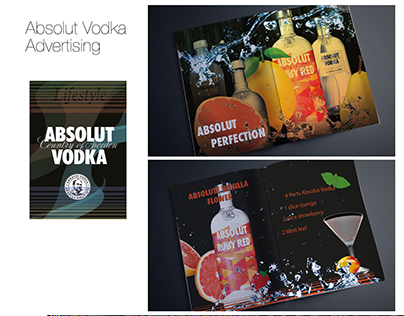 absolute vodka advertising( brochure)