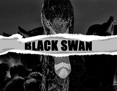 Title sequence for "Black Swan"