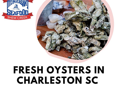Find the Fresh Oysters in Charleston, SC