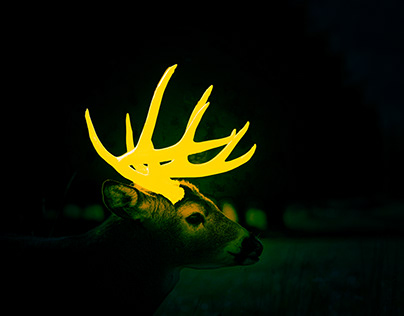 Animal Glowing Effect