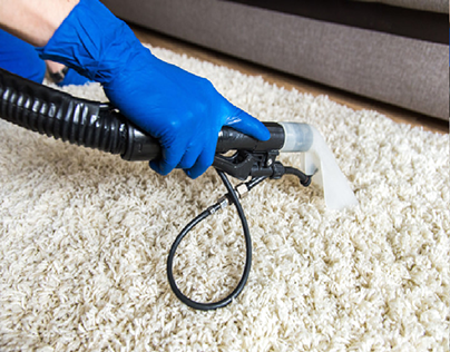 The Best Professional Carpet Cleaner In Greenwood IN