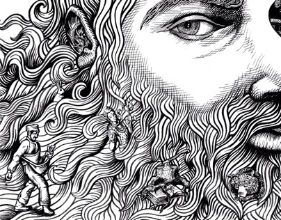 Copertina THE Beards