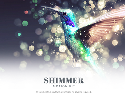 Shimmer Motion Kit