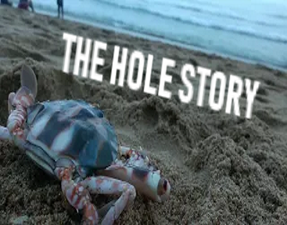 the hole story