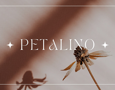 Project thumbnail - Petalino marketing campaign