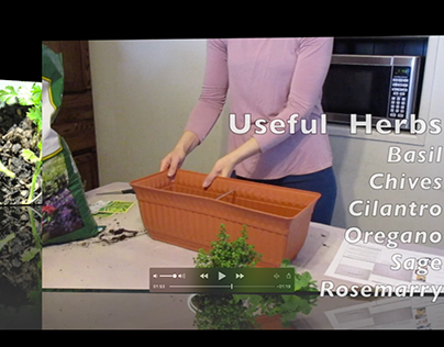 Instructional Video: Planting a window herb garden