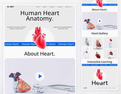 Human Heart Anatomy - Web UI Design