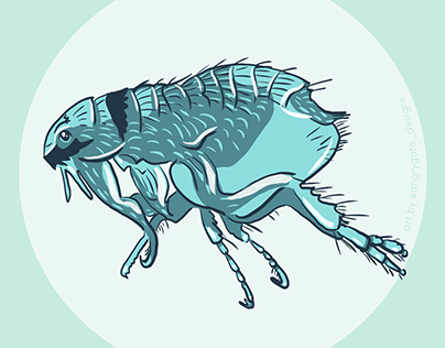 Flea illustration for biologist's business card