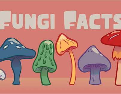 Project thumbnail - Fungi Facts