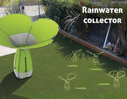 Rainwater collector