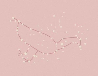 The rhea constellation