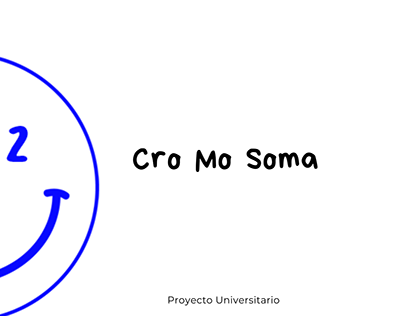 Project thumbnail - Branding 22 cro mo soma