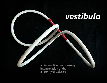 Vestibula, an interactive object