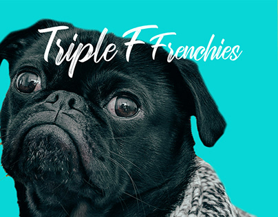 Triple Dog Branding