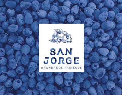 "San Jorge, arándanos pasiegos" branding