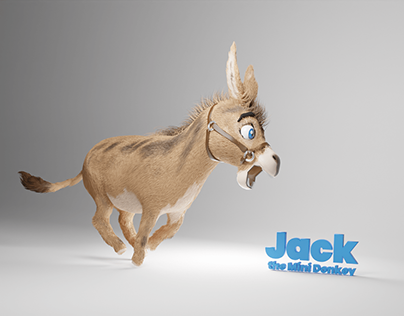 Jack the Mini Donkey