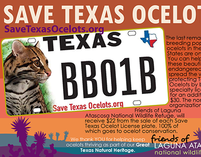 'Save Texas Ocelots' License Plate Rack Cards