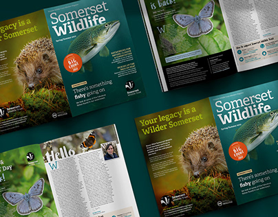 Somerset Wildlife Trust magazine, summer 2022