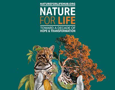 Nature for Life Hub - UNDP