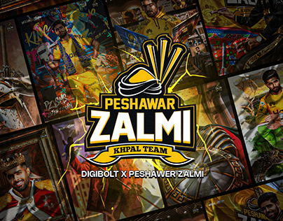Project thumbnail - Peshawar Zalmi x DigiBolt | PSL 9