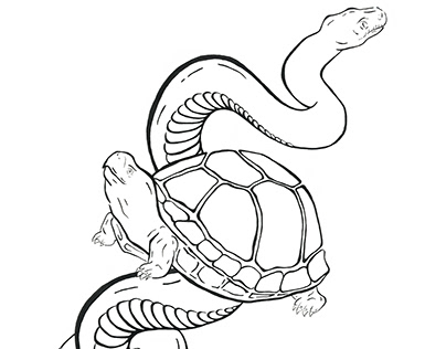 Gopher Tortoise & Rattle Snake