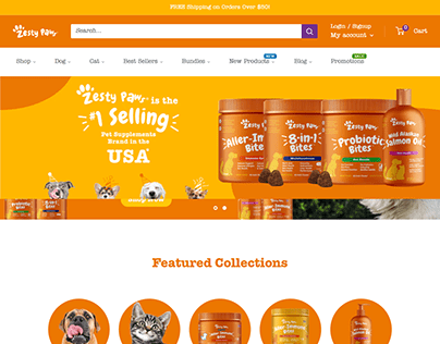 Shopify Website Design Expert | Shopify Store