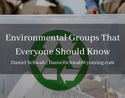 Environmental Groups that Everyone Should Know