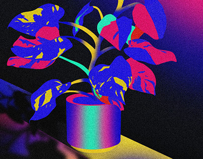 Neon plant