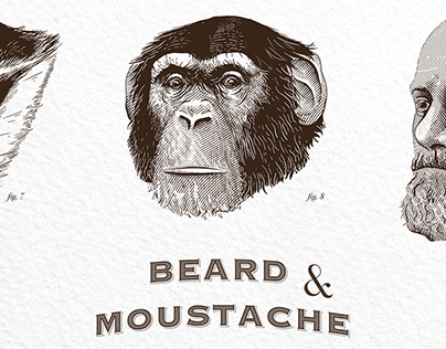 Monkeys Beards - Poster Illustration