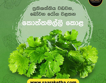 Saaraketha - Medicinal Content