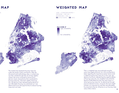 Mapping Housing Insecurity in New York City (2019)
