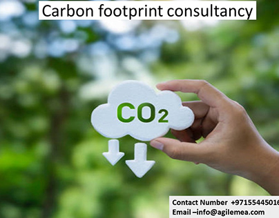 Carbon footprint consultancy