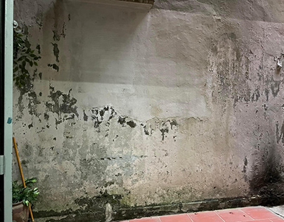 Nguyên nhân và cách xử lý tường nhà bị ẩm mốc