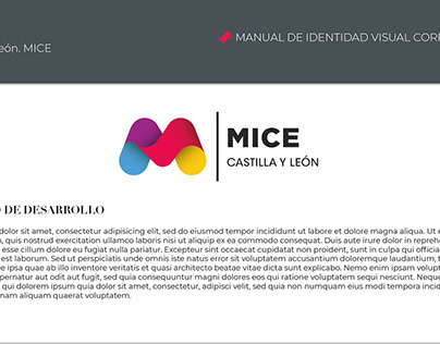Project thumbnail - MICE. CyL. Marca de Identidad Visual Corporativa
