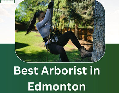 Best Arborist in Edmonton