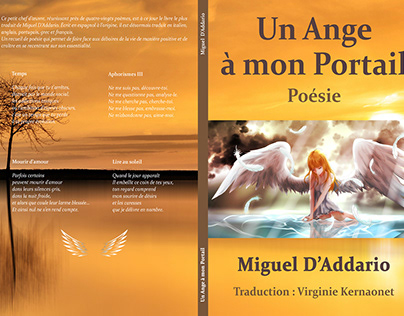 Libro traducido del español al francés