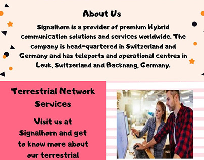 Terrestrial Network Services
