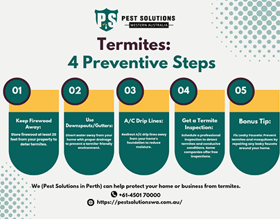 4 Preventive Tips from Termites